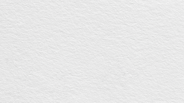 Animation of ink blot thistle in tartan draws in. Title of the event Burns 2020 draws in.