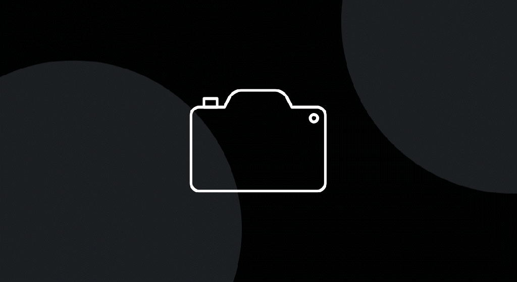 Animated pictogram of a camera 